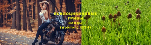 марки nbome Инсар